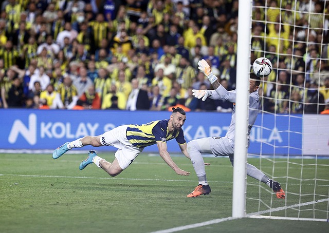 他西部强队 他西部强队