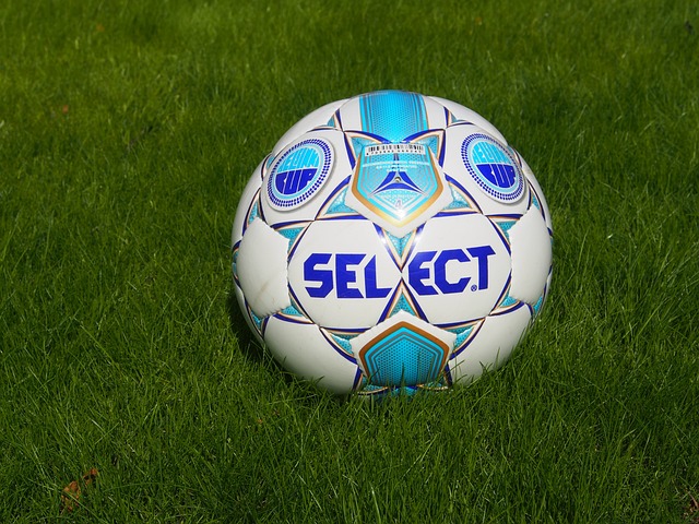 自然引用与 自然引用与