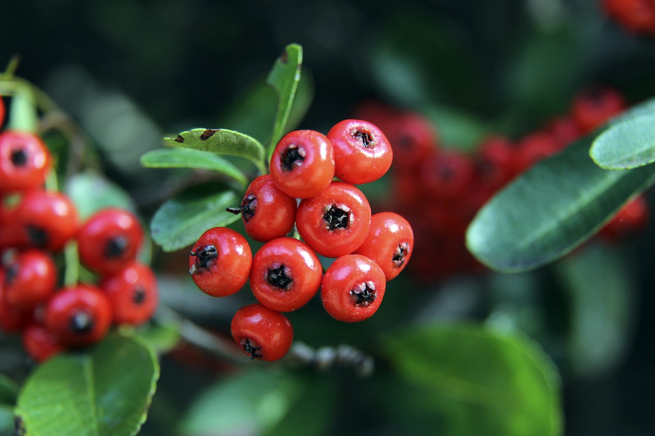 跑未来的方 跑未来的方