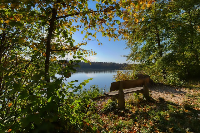 使人不禁期 使人不禁期